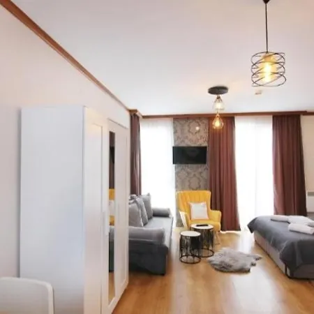 Luxury Ivana Apartament *